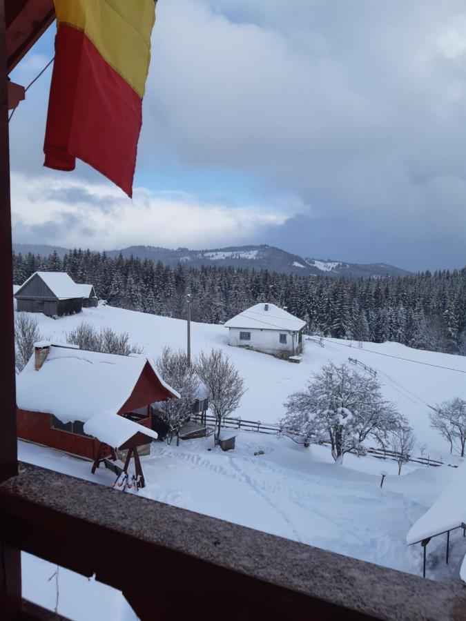 Cabana Gabriela Gîrda de Sus Dış mekan fotoğraf
