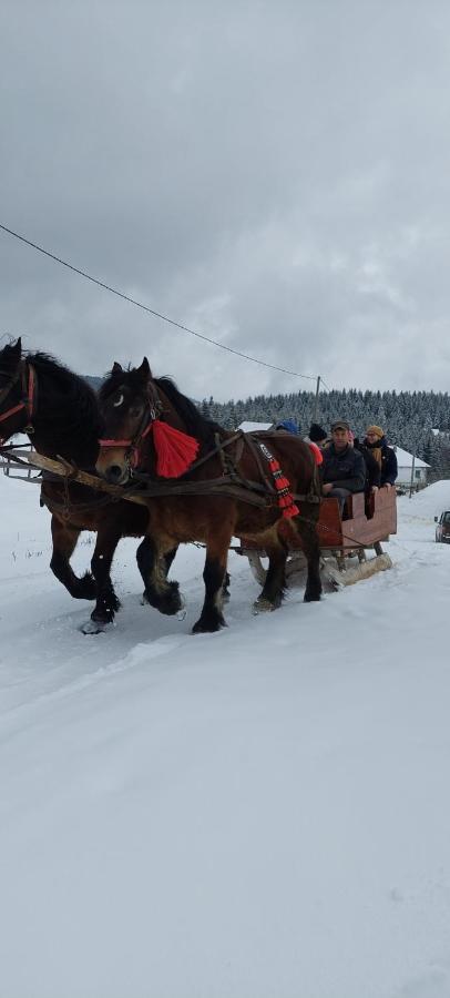 Cabana Gabriela Gîrda de Sus Dış mekan fotoğraf